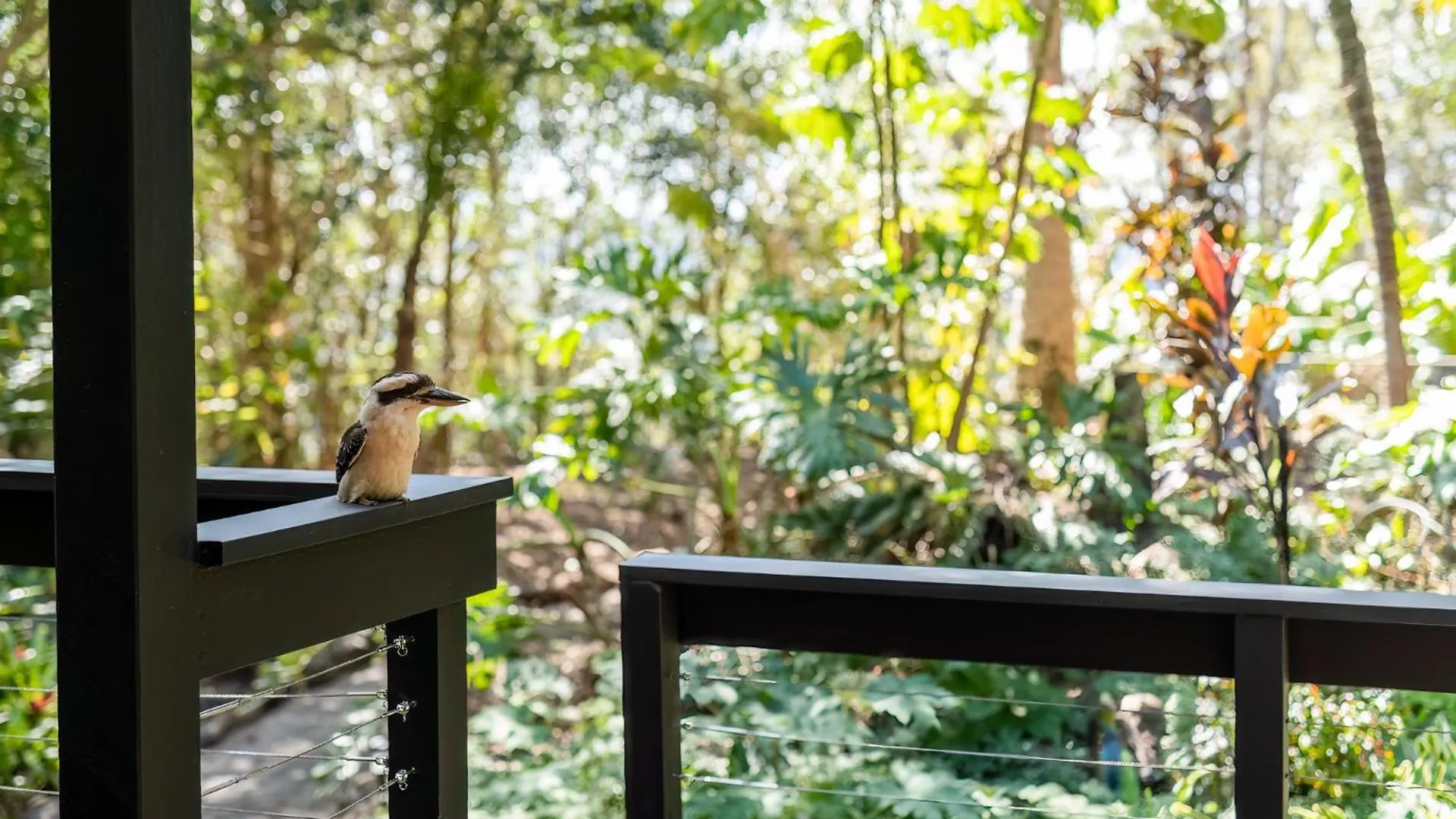 Holiday home Elevata Villa Luxe Spa Jacuzzi - Wood Fire - Claw Bath - Pet Friendly Montville Australia